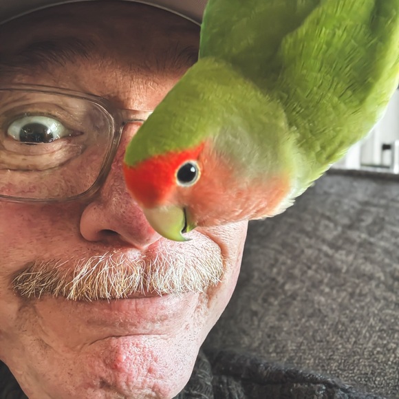 Meet your Posher, Richard - Picture 2 of 3